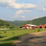 Cole's Farm | Cameron Mills, NY