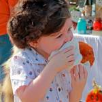 Rathbone Fall Festival 2017